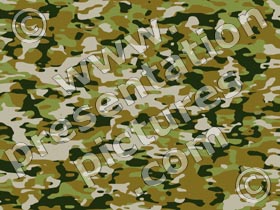 camouflage brown - powerpoint graphics