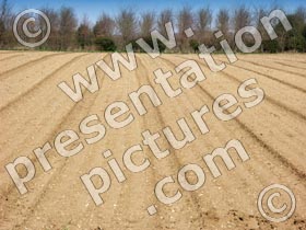 ploughed field - powerpoint graphics