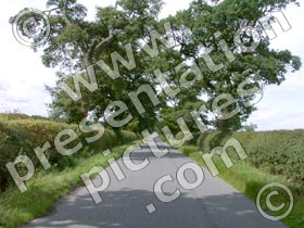 roadway - powerpoint graphics